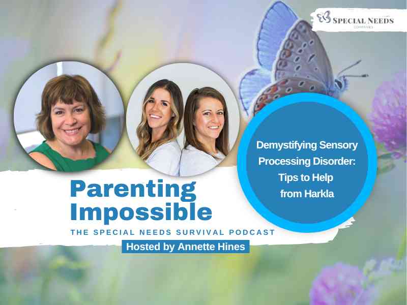 Demystifying Sensory Processing Disorder Parenting Impossible Episode